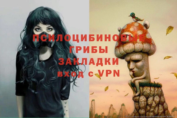 сатива Богданович